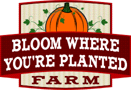 Bloom where_youre_planted