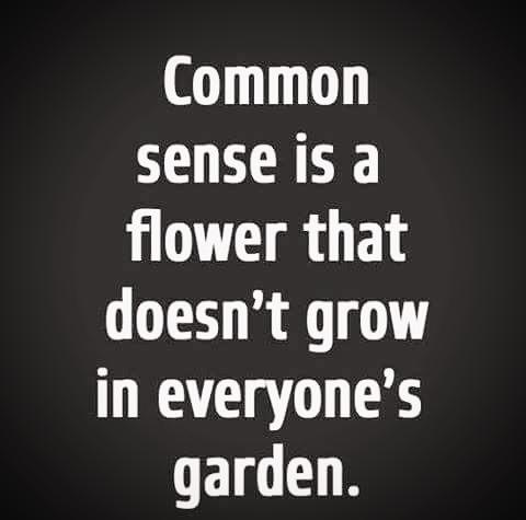 Common Sense
