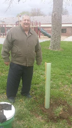 Dan Crownover_tulip_tree_resized