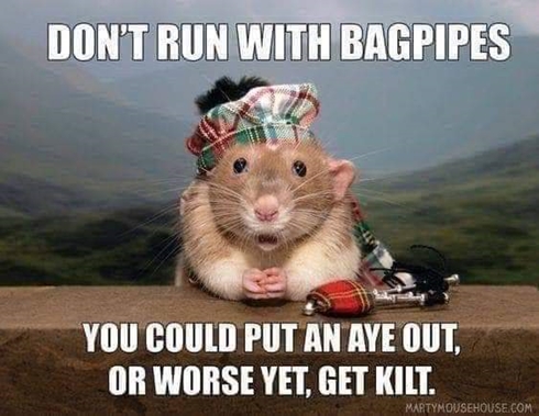 Dont Run With Bagpipes 490