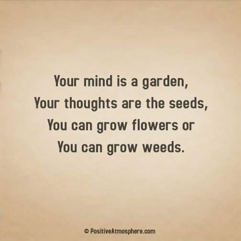 FB IMG 1487460465393 490