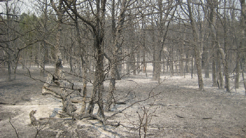 Fairfield 1A