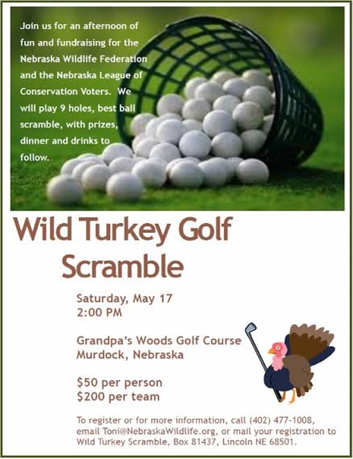 Golf Scramble_resized