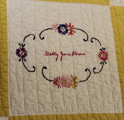 Latest photos_021_500