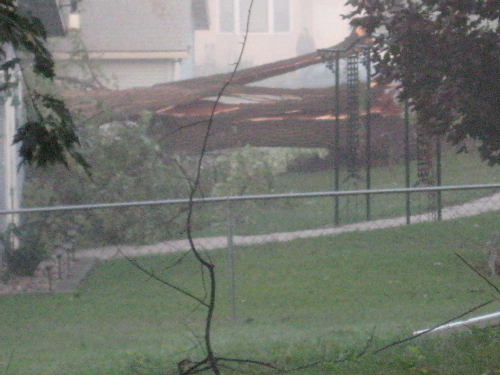 Liesemeyer_backyard_2