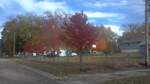 Maples of_Unadilla_resized