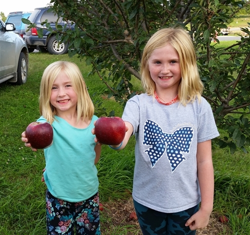 Picking apples_at_the_Community_Garden_500