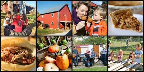 Pumpkin Patch_500