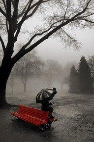 Red bench_in_the_fog