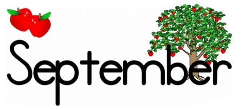 September Apple Trees 475