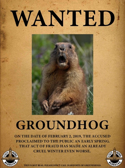 Wanted Groundhog 490