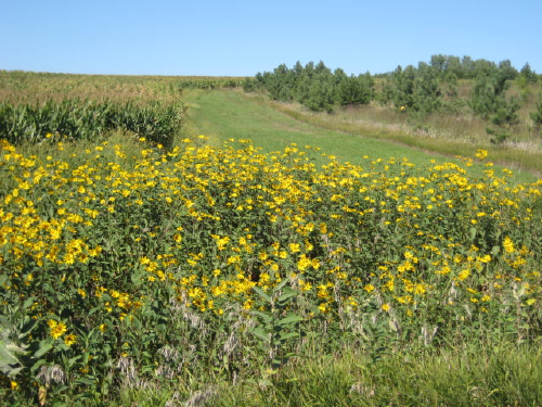 What September_looks_like_on_F_Road