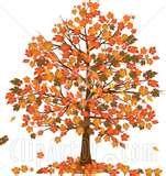 fall_tree