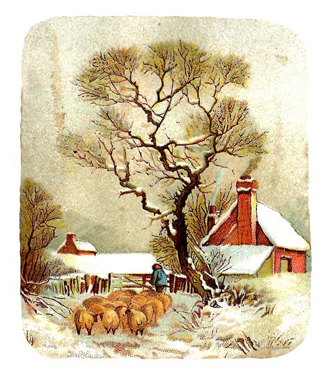winter scene